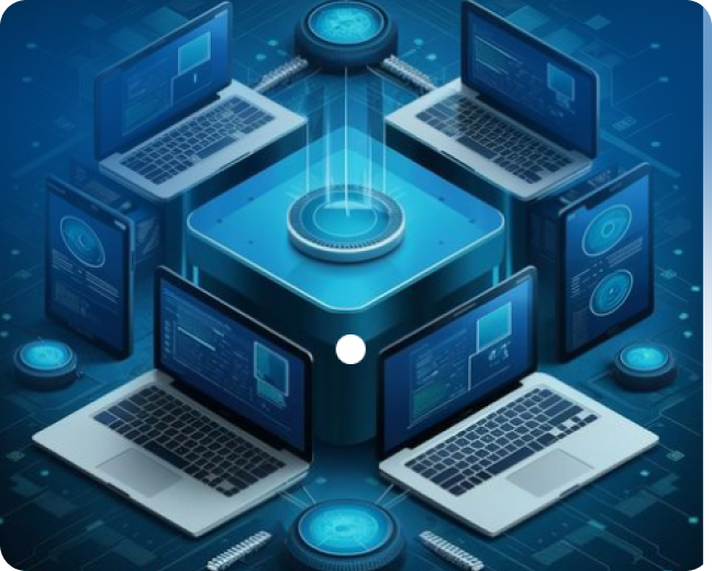 IT Management Expert